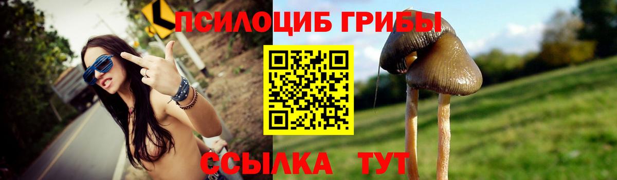Галлюциногенные грибы мицелий  где найти   Ревда  Вход с VPN 